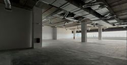 Compassvale Cape (D19), Factory #464412781